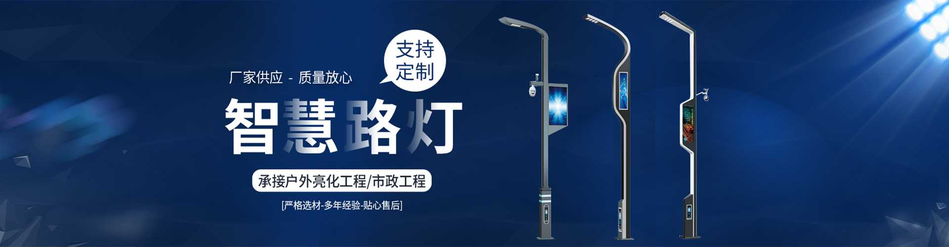 吴兴区太阳能路灯定制厂家